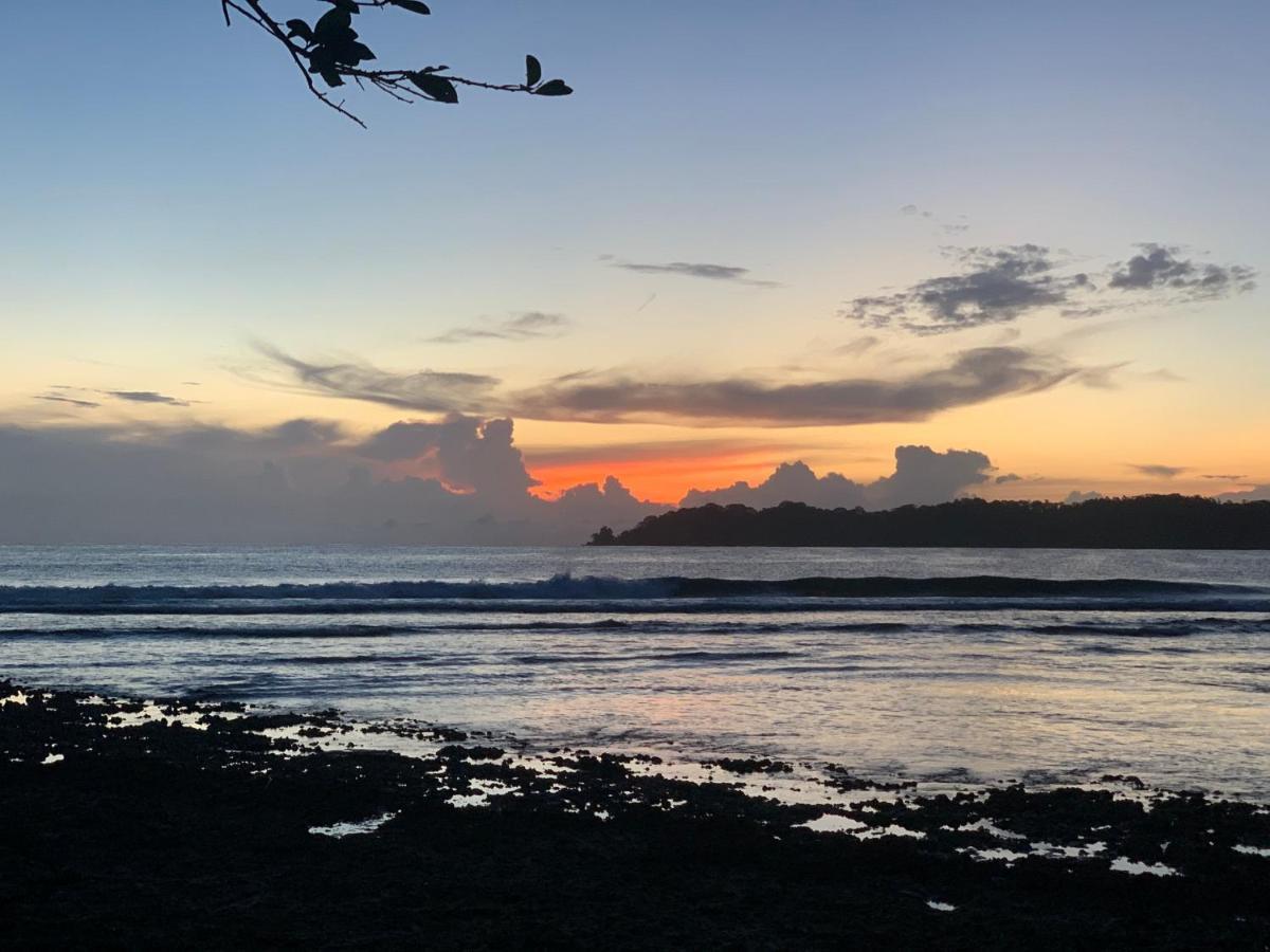 Surf Camp Hotel โบกัสทาวน์ ภายนอก รูปภาพ