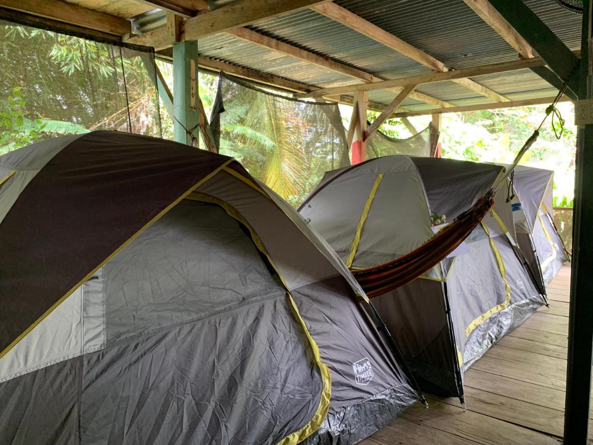 Surf Camp Hotel โบกัสทาวน์ ภายนอก รูปภาพ