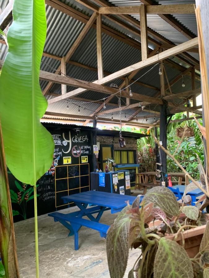 Surf Camp Hotel โบกัสทาวน์ ภายนอก รูปภาพ