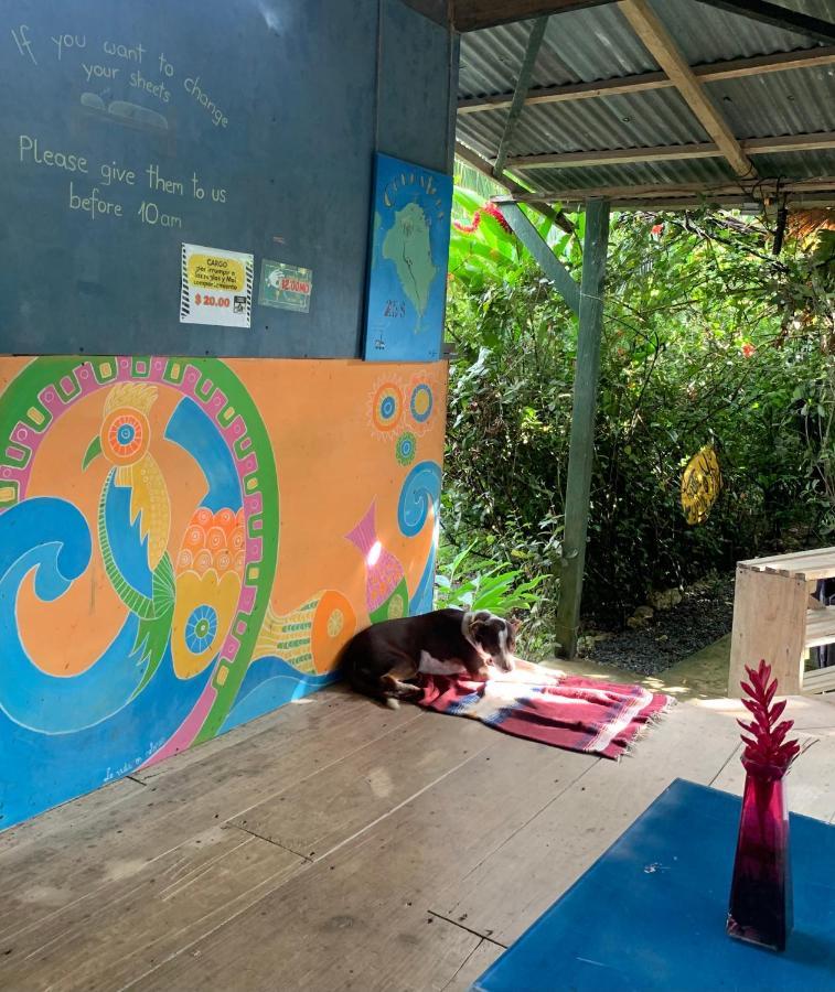 Surf Camp Hotel โบกัสทาวน์ ภายนอก รูปภาพ