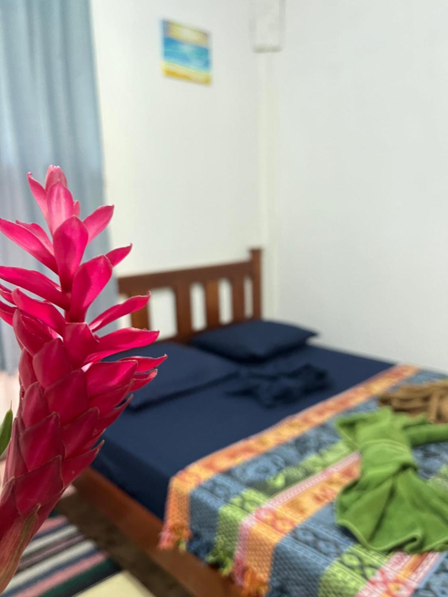Surf Camp Hotel โบกัสทาวน์ ภายนอก รูปภาพ