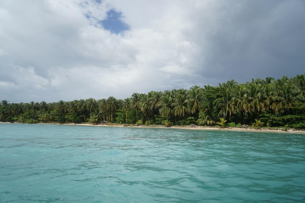 Surf Camp Hotel โบกัสทาวน์ ภายนอก รูปภาพ