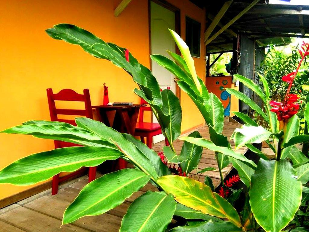 Surf Camp Hotel โบกัสทาวน์ ภายนอก รูปภาพ