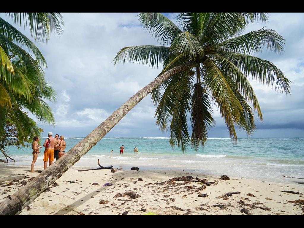 Surf Camp Hotel โบกัสทาวน์ ภายนอก รูปภาพ