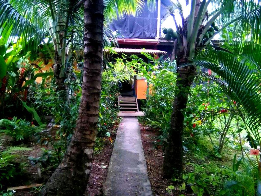 Surf Camp Hotel โบกัสทาวน์ ภายนอก รูปภาพ
